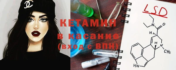 трава Новокубанск