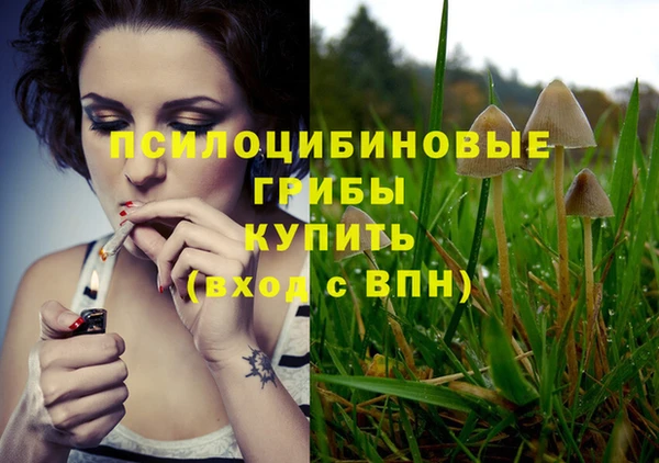 шишки Аркадак