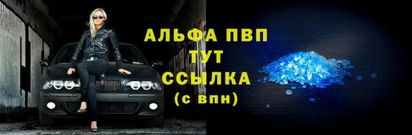 шишки Аркадак