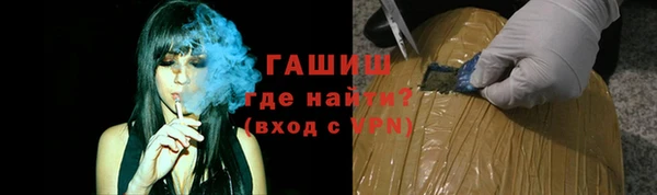 гидра Новозыбков
