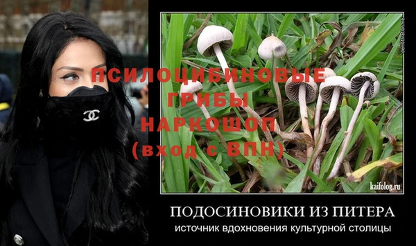 PSILOCYBIN Армянск