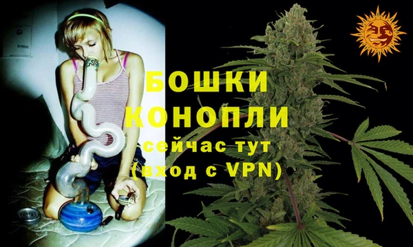 шишки Аркадак