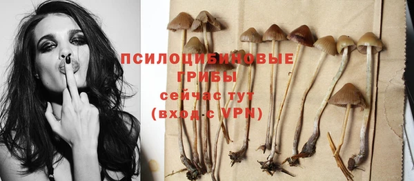 шишки Аркадак