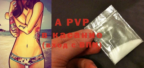 шишки Аркадак