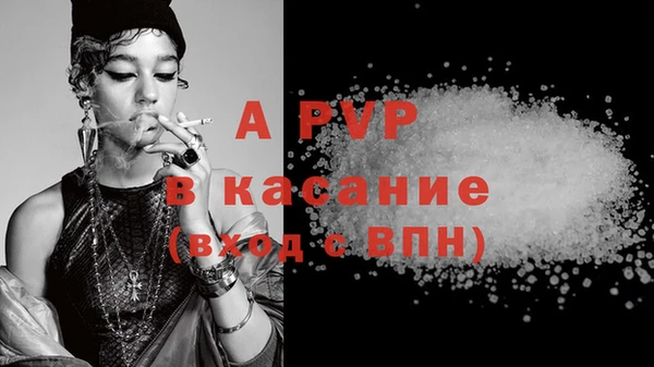 шишки Аркадак