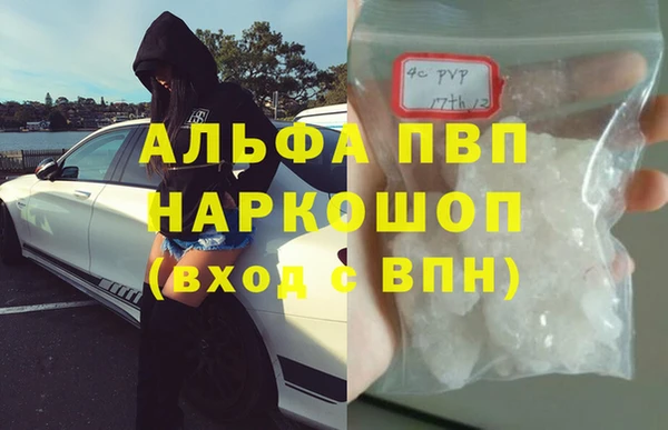 гидра Новозыбков