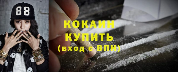 шишки Аркадак